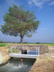 Obraz premium canale irrigazione