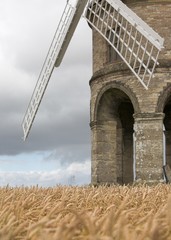 Windmill in a Field of Corn