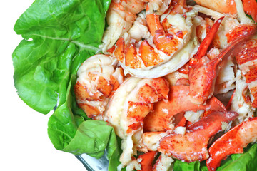 Lobster Meat