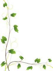 Vine floral background