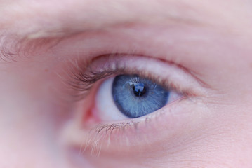 Obraz premium yeux bleus