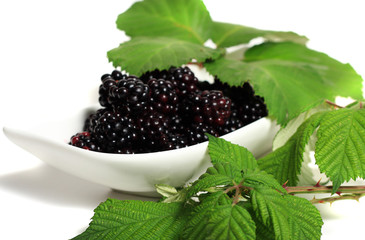 Brombeeren