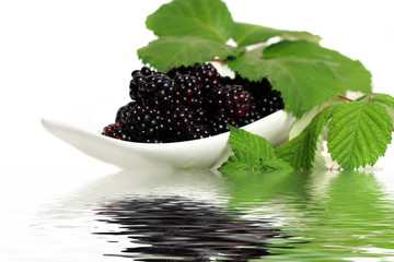 Brombeeren