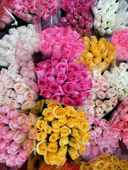 Variety of Vibrant Bouquets of Roses at Florist Shop