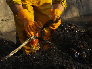 Pescador en la cubierta de mejillonera