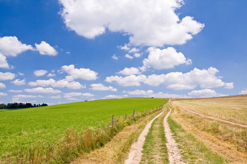 Fototapeta na wymiar green farm land with a blue sky