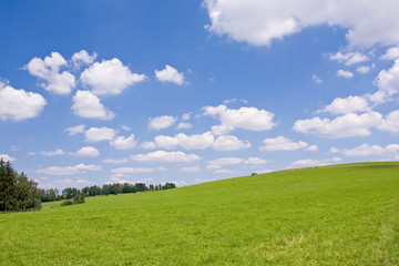 green farm land with a blue sky