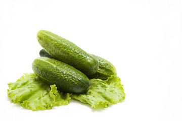 Cucumbers on lettuce