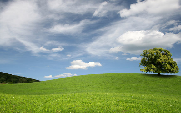 green hills