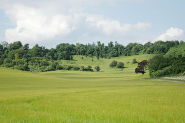 English Countryside with cloudy sky
