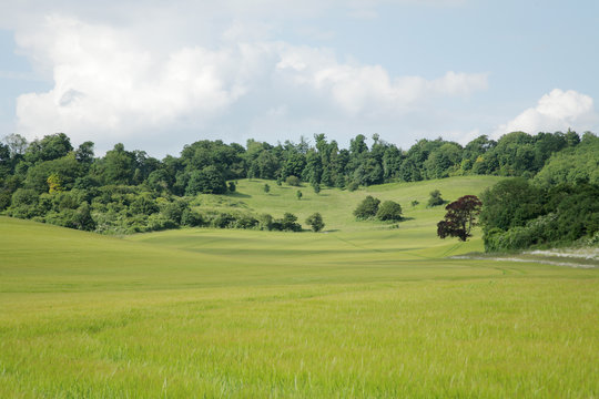 English Countryside With Cloudy Sky