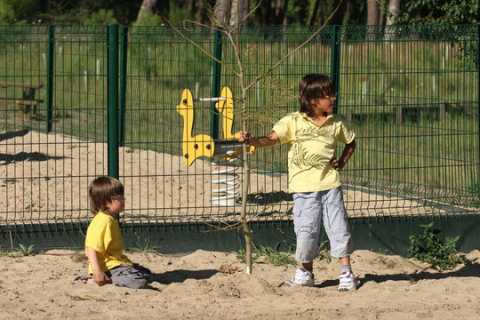 enfants entrain de planter un arbre