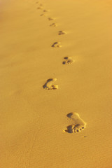 Fototapeta na wymiar footprints in wet sand