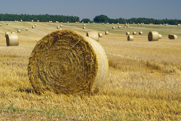Strohballen - bale of straw 11