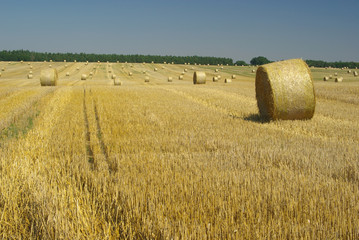 Strohballen - bale of straw 13