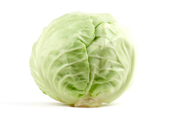 Fototapeta premium White Cabbage