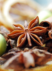 sternanis