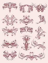 decorative  ornaments for design, vector