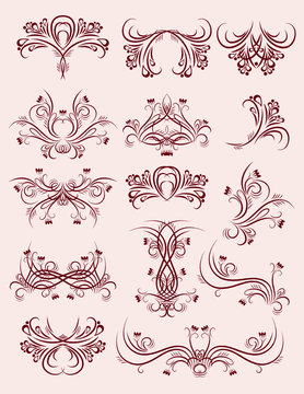 decorative  ornaments for design, vector