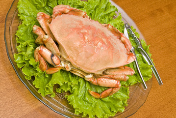 Steamed Dungeness Crab on a Bed of Lettuce