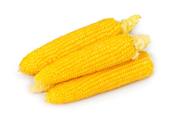 Corn cobs isolated on the white background