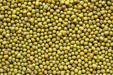 Mung beans