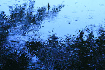 Obraz premium 雨ふり