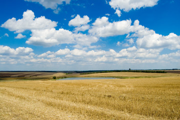 view of rural locality with a pond and clouds in the background