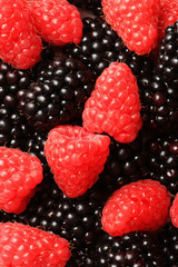 pile of raspberries and blackberries in a bowl, shot in studio