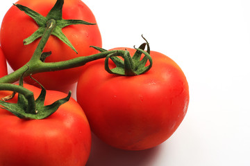 three red tomatoes on the stem shot on white in studio