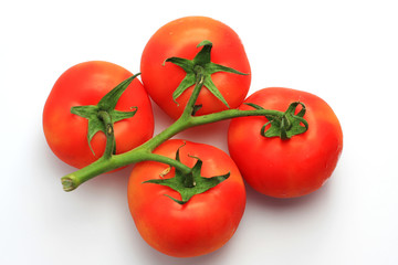 four red tomatoes on the stem, shot in studio on white