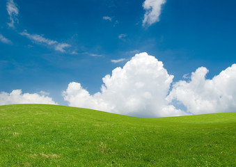 Rolling green hills under a blue summer sky.