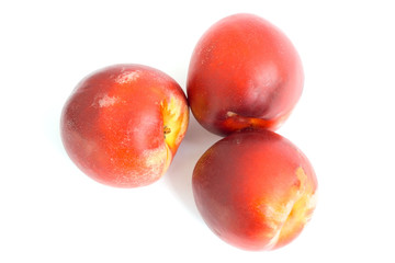 Nectarines