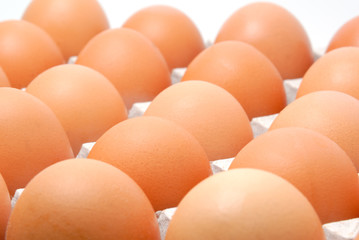 Fresh rural eggs packed into cardboard container