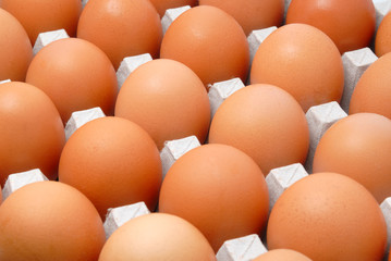 Fresh rural eggs packed into cardboard container