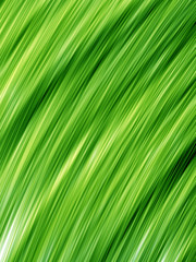 Fototapeta premium Abstract design