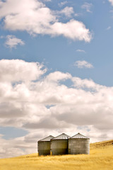 Three silos in a wheat field