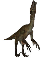 Utahraptor ostrommayorum-3D Dinosaurier