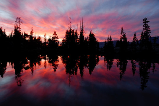 Trees and Sunset Reflected in Sierra Nevada Wilderness Lake