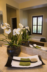 Decor in a luxury home bathroom.