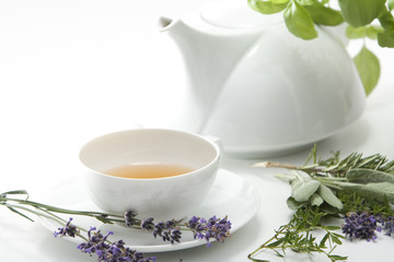 Tea and herbs. Isolated on white. Studio shot.