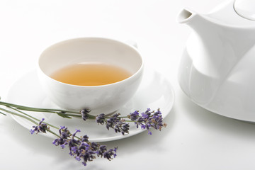 Tea and lavender. Isolated on white. Studio shot