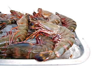 Big Sea Tiger Prawns Tray One