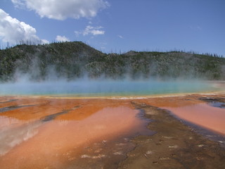 Yellowstone