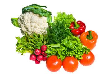 Different fresh vegetables
