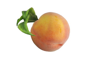 the fruit of peach from leaflets on white background