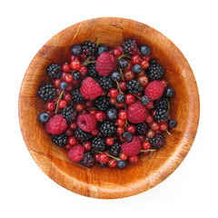Wild fruits redcurrant, blackberry, raspberry and blueberry