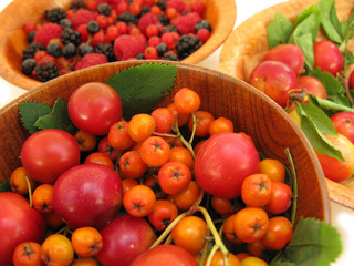 Wild fruits rowan, wild plums, raspberries, blakberries