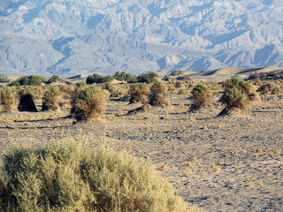 Death Valley