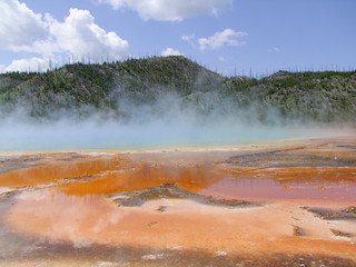 Yellowstone